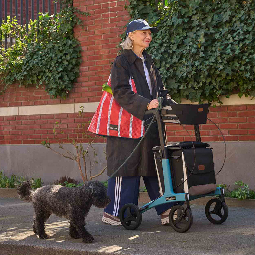 Woman walking a dog with a blue cart and red bag in an urban setting